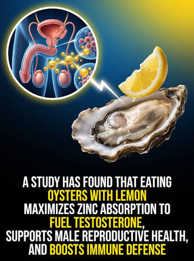 🦪Gillardeau French Oysters, The Rolls‑Royce of Shellfish, Marennes‑Oléron Gourmet Delicacy