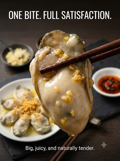 🦪Gillardeau French Oysters, The Rolls‑Royce of Shellfish, Marennes‑Oléron Gourmet Delicacy