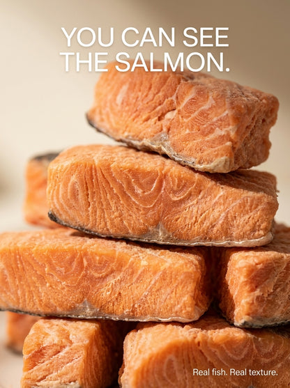 Freeze-Dried Salmon Treats for Cats & Dogs