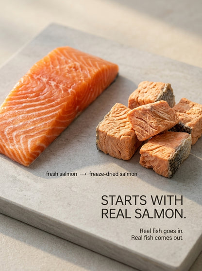 Freeze-Dried Salmon Treats for Cats & Dogs