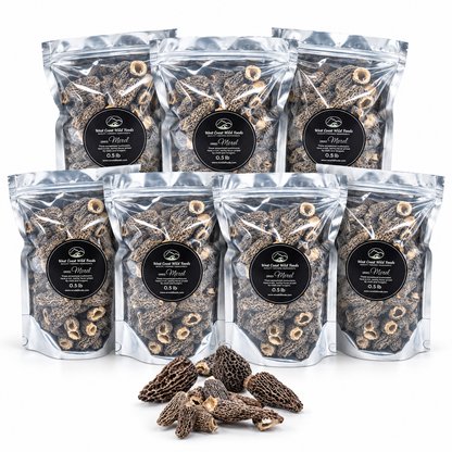 North American Cultivated Dried Morel Mushrooms, Grade A Morchella, Gourmet Mushrooms for Steak, Risotto & Pasta
